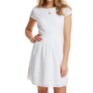 Linen Eyelet Fit N Flare Dress